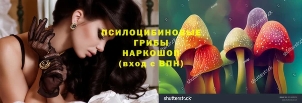 сатива Иннополис