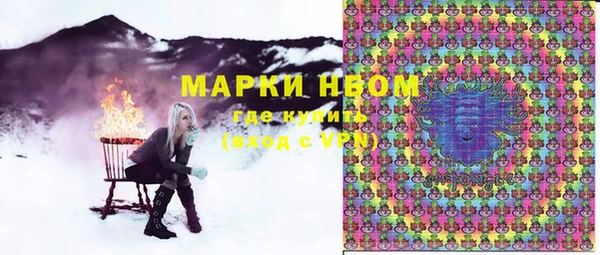 сатива Иннополис