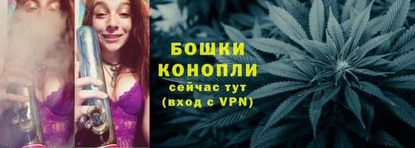 мет Инта