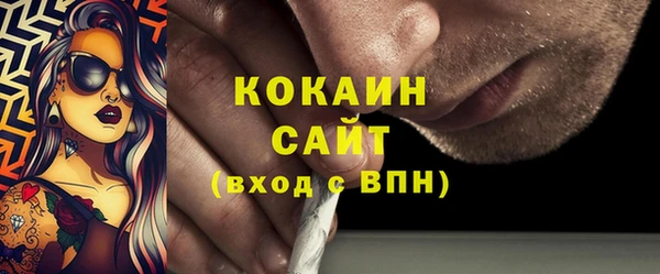 мет Инта