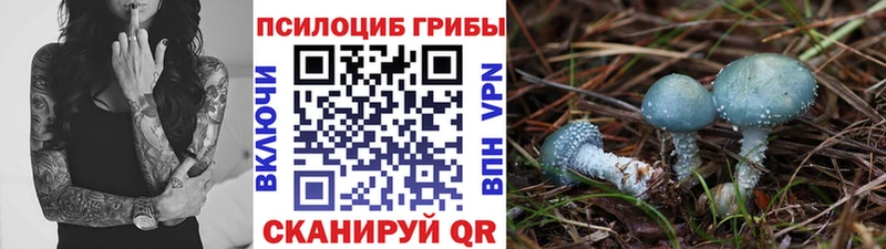 Псилоцибиновые грибы Magic Shrooms  Купить где  Нерчинск 